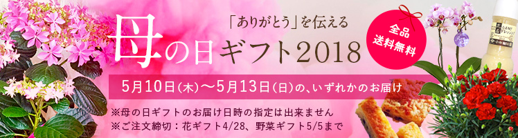 母の日ギフト